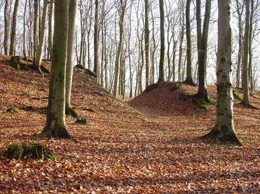 Schnitt der Wallanlage, Durchbruch Nord