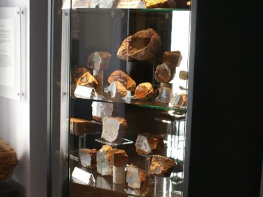 Saal 6: Die geologische Sammlung